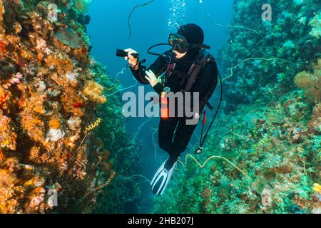 Subacqueo che esplora le acque tropicali intorno a Komodo Foto Stock