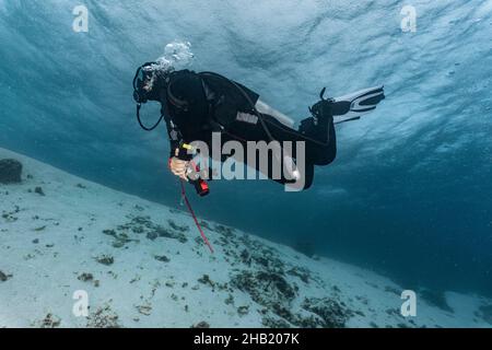 Subacqueo che esplora le acque tropicali intorno a Komodo Foto Stock