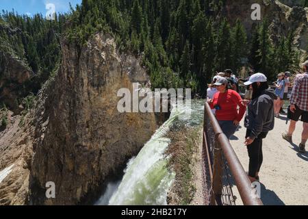 I visitatori della piattaforma di osservazione delle Lower Falls si affacciano sul Grand Canyon di Yellowstone, il parco nazionale di Yellowstone, Wyoming, USA Foto Stock