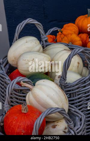 una varietà di zucche e squarci appena raccolti in esposizione in cesti di vimini in un mercato agricolo nel nord del norfolk, verdure fresche in mostra negozi. Foto Stock