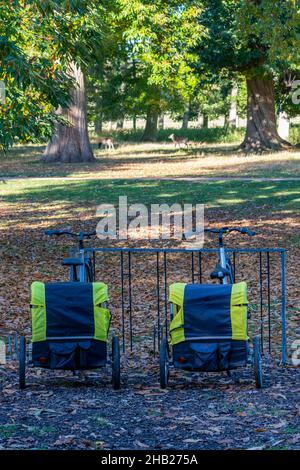 noleggio di tricicli presso la holkham hall di norfolk, noleggio di trikes nei terreni della holkham hall sulla costa nord del norfolk, noleggio o noleggio di tricicli. Foto Stock