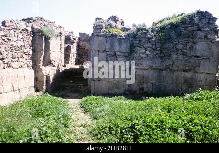 Sito archeologico preistorico di Ugarit, Siria nel 1998 - sala del trono Foto Stock