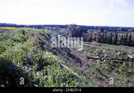 Sito archeologico preistorico di Ugarit, Siria nel 1998 - panoramica del sito Foto Stock