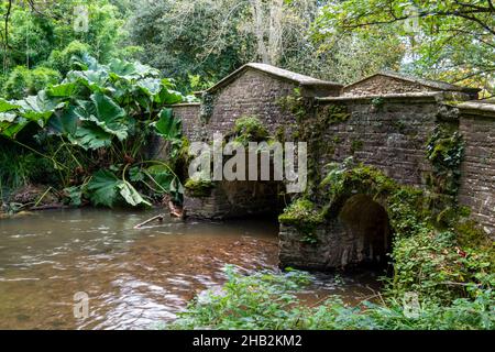 Bridge vicino a Dunster, Somerset, Regno Unito Foto Stock