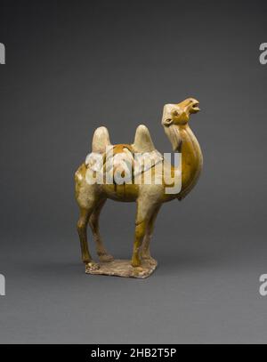 Figura di un cammello bactrino, cinese, dinastia Tang, 618–907, fine 7th–inizio 8th secolo, terartene con glassa a tre colori (sancai), prodotto nella provincia di Hebei, Cina, Asia, Ceramica, scultura, 15 1/8 x 13 x 5 poll. (38,4 x 33 x 12,7 cm Foto Stock