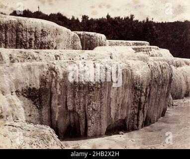 Pink Terrace, studio Burton Brothers, studio fotografico, 1880s, Dunedin, fotografia Foto Stock