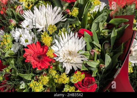 Bouquet di fiori diversi in primo piano Foto Stock