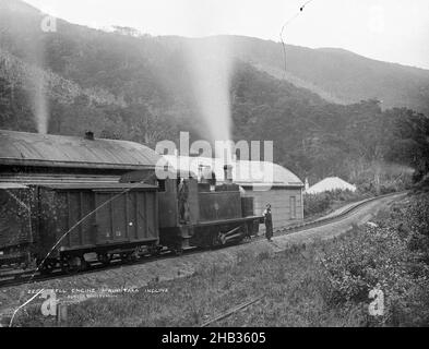 Fell Engine, Rimutaka Incline, studio Burton Brothers, studio fotografico, Nuova Zelanda, processo su piastra asciutta di gelatina Foto Stock