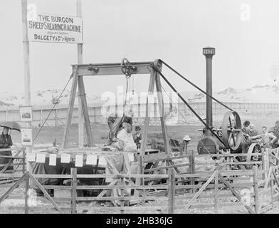 [Burgon Sheep Shearing Machine], studio Burton Brothers, studio fotografico, Nuova Zelanda, fotografia in bianco e nero Foto Stock