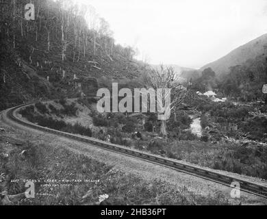 Cross's Creek, Rimutaka Incline, studio Burton Brothers, studio fotografico, Nuova Zelanda, processo su piastra asciutta di gelatina Foto Stock