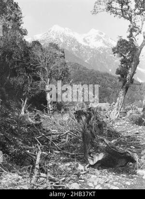 Vicino casa di alloggio, Otira, West Coast Road, studio Burton Brothers, studio di fotografia, Circa 1880, Dunedin, fotografia in bianco e nero Foto Stock