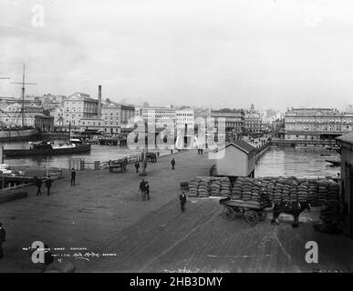 Queens Wharf, Auckland, Muir & Moodie studio, studio fotografico, circa 1905, Dunedin, processo di lavorazione della piastra di gelatina secca Foto Stock