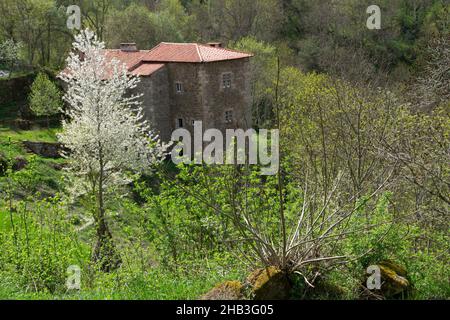 Tipico villaggio di alta Loira in Alvernia Foto Stock