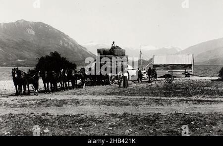 Loading Wool - Pembroke, Lake Wanaka, Muir & Moodie studio, 01 gennaio 1912, Wanaka, Lake Foto Stock