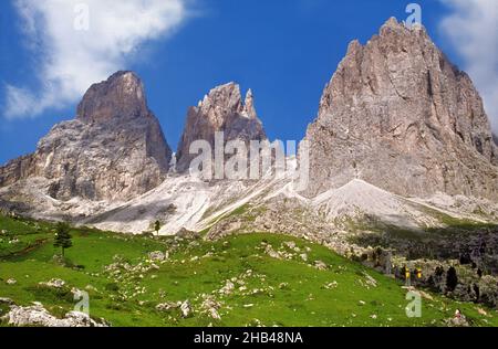 Il Saslonch, Sassolungo o Langkofel (ladino: Saslonch; Italiano: Sassolungo Foto Stock
