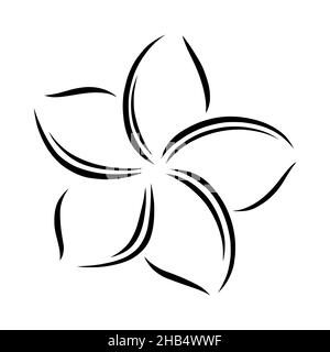 Frangipani o plumeria esotico fiore estivo. Frangipani inciso isolato su sfondo bianco. Illustrazione vettoriale del contorno Illustrazione Vettoriale