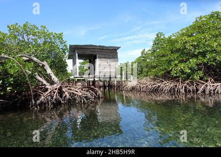 Panama Bastimentos Island - Cayo Coral Island costa con alberi di mangrovie Foto Stock