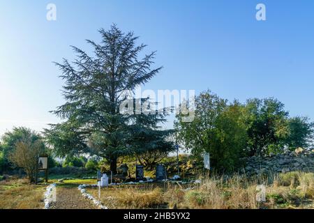 Alonei Habashan, Israele - 14 dicembre 2021: Vista della Fig e il memoriale del cedro per i soldati caduti in 1973 guerre. Le alture del Golan, Isra del Nord Foto Stock