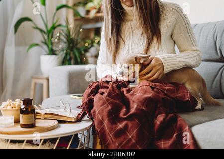 Donna accogliente in maglia inverno caldo maglione con chihuahua cane e scacchi plaid, candela e libro durante il riposo sul divano a casa a Natale Foto Stock