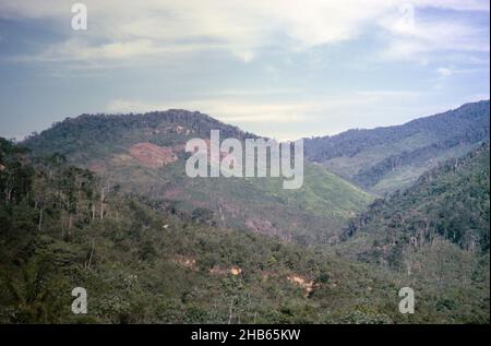 Deforestazione foresta di sdoganamento a terra maschile per l'agricoltura, paesaggio collinare in viaggio tra Curitba e San Paolo, Brasile 1962 Foto Stock