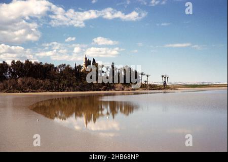 Hala Sultan Tekke Mosquee, Larnaca Salt Lake, Cipro 1963 Foto Stock