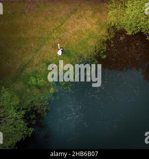 Rimorchiabile vista aerea matrimonio foto scatta bella coppia da lago all'aperto. Matrimonio meraviglioso nella natura in Lituania Foto Stock