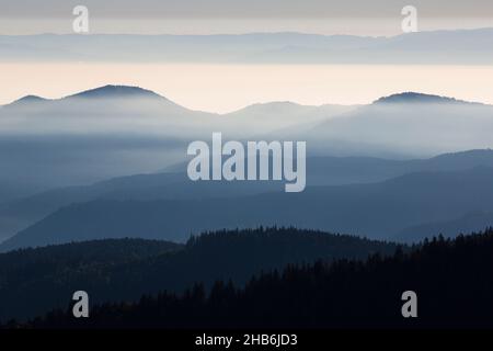 Scenario di montagna dei Vosgi con nebbia mattutina, Francia, Vosgi montagne Foto Stock