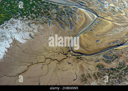 Veduta aerea dell'estuario dell'Elba a bassa acqua, Germania, Parco Nazionale di Hamburgisches Wattenmeer Foto Stock