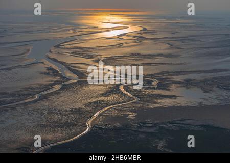 Veduta aerea dell'estuario dell'Elba a bassa acqua, Germania, Parco Nazionale di Hamburgisches Wattenmeer Foto Stock