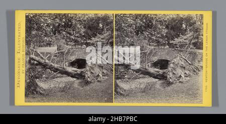 Ponte sul Lemon, con un albero caduto in primo piano, Newton-Bridge sul fiume Lemon. (Titolo sull'oggetto), Francis Bedford (menzionato sull'oggetto), Newton Abbot, c.. 1850 - c. 1880, cartone, stampa albume, altezza 85 mm x larghezza 170 mm Foto Stock