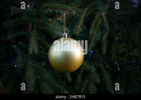 Il verde albero di Natale si dirama con una sfera dorata ad una argento opaco, lucida in una vista ravvicinata appesa in abete rosso come un decor. Foto della scheda di Natale samp Foto Stock