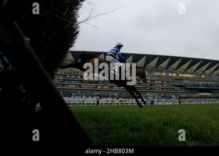 PIC D'Orhy cavalcato dal jockey Harry Cobden sulla strada per vincere la caccia di novizi di Howden Noel durante il giorno uno del Weekend di Natale Howden all'ippodromo di Ascot, nel Berkshire. Data immagine: Venerdì 17 dicembre 2021. Vedi PA Story RACING Ascot. Il credito fotografico dovrebbe essere: Steven Paston/PA Wire. RESTRIZIONI: L'uso è soggetto a restrizioni. Solo per uso editoriale, nessun uso commerciale senza previo consenso da parte del titolare dei diritti. Foto Stock