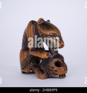 Antico Netsuke di legno giapponese di un lupo con un cranio umano. Periodo Edo, 19th secolo Foto Stock