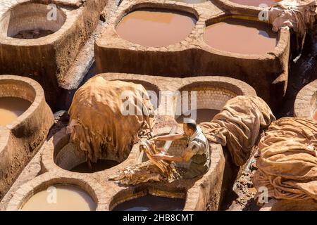 Fez, Marocco - Febbraio 23. 2019: Conceria tradizionale in cuoio a Fez con un operaio che lavora in vecchi metodi di lavorazione del cuoio. Foto Stock