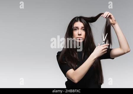 giovane donna sconvolto in nero tortino tenendo le forbici vicino a lunghi capelli danneggiati isolato sul grigio Foto Stock