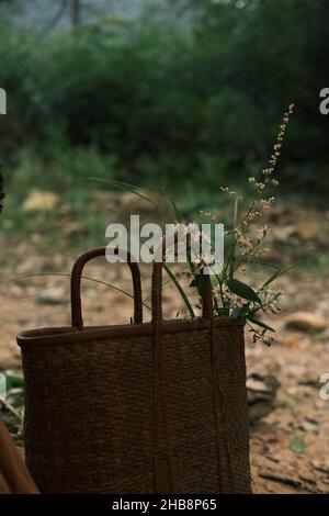 cestino pic-nic nella foresta Foto Stock