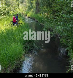 USA, Idaho, Bellevue, Senior Couple sulle biciclette che guardano il ruscello Foto Stock
