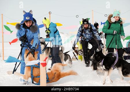 Dudinka, Krasnoyarsk Territory, Russia, 13 aprile 2019: Un grande gruppo di persone con cani da Husky per andare a cavallo stanno giocando con un cane nella neve e smil Foto Stock