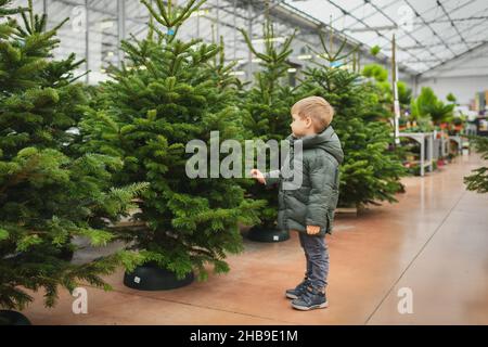 Il ragazzino sceglie un albero di Natale nel negozio. Foto Stock