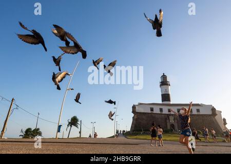 Vista dal basso di Farol da barra in Salvador, con piccioni che mangiano volare all'altezza del Faro. Foto Stock