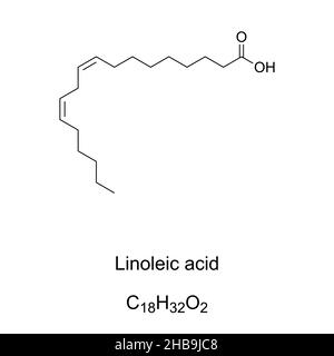 Acido linoleico, formula chimica. Acido grasso essenziale polinsaturo omega-6. È abbondante in cartamo, girasole e olio di mais. Foto Stock