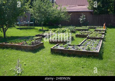 Il letto con fragole è coperto da un panno nero. Metodi di giardinaggio moderni. Foto di alta qualità Foto Stock