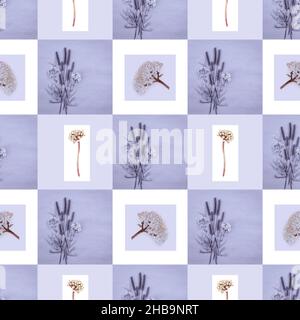Disegno geometrico senza giunture di fiori secchi e piante da campo. Foto Stock