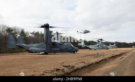 Un CV-22B Osprey del 21st Special Operations Squadron (a sinistra), accanto a due MV-22B Osprey del Medium Tiltrotor Squadron 262, E un CH-53E Super Stallion, da Heavy Helicopter Squadron 466, 1st Marine Aircraft Wing, prendere turni praticando decolli e atterraggi durante l'esercizio Resolute Dragon 21 presso l'Ojojihara Training Area, Giappone, 9 dicembre 2021. La MV-22, la CV-22B Osprey e la CH-53E Super Stallion sono risorse importanti per operazioni rapide aria-terra per forze congiunte e alleate in molti ambienti, consentendo una rapida proiezione della potenza di combattimento su ampie distanze. (STATI UNITI Forza aerea Foto Stock