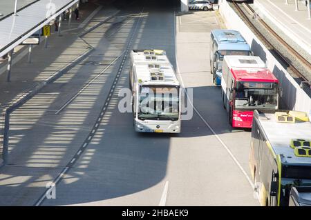 Utrecht, Paesi Bassi - 24 ottobre 2021: Autobus sulla strada e autobus in attesa di trasporto persone alla stazione centrale di Utrecht Foto Stock