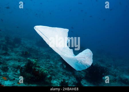 Borsa di plastica galleggiante sulla barriera corallina, Atollo di maschio Nord, Oceano Indiano, Maldive Foto Stock