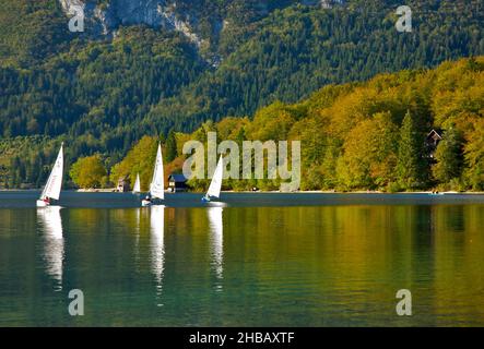 Barche a vela al Lago di Bohinj, Parco Nazionale del Triglav, Slovenia Foto Stock