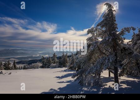 Alba gelida sul Monte Vitosha, Sofia, Bulgaria - bellissimo paesaggio invernale - primi raggi di sole sulla neve fresca. Foto Stock