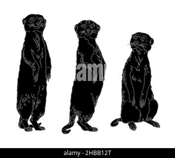 Illustrazione della famiglia Meerkat. Animali silhouette nera. Foto Stock
