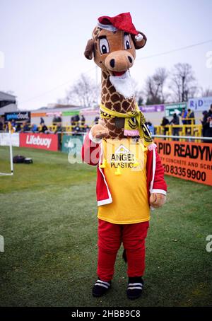 La mascotte del club di Sutton United Jenny la giraffa indossando un vestito di Babbo Natale durante la partita della Sky Bet League Two al VBS Community Stadium di Londra. Data foto: Sabato 18 dicembre 2021. Foto Stock